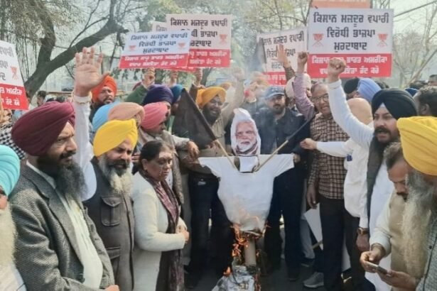 भाजपा के खिलाफ AAP का हल्ला बोल, पीएम मोदी का फूंका पुतला