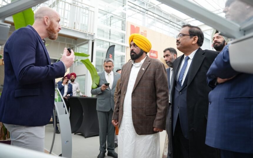 मुख्यमंत्री के प्रयासों को मिलने लगी सफलता, पंजाब सरकार वर्ल्ड हार्टी सेंटर इकोसिस्टम की तर्ज पर बागवानी अनुभव और प्रशिक्षण केंद्र करेगी स्थापित